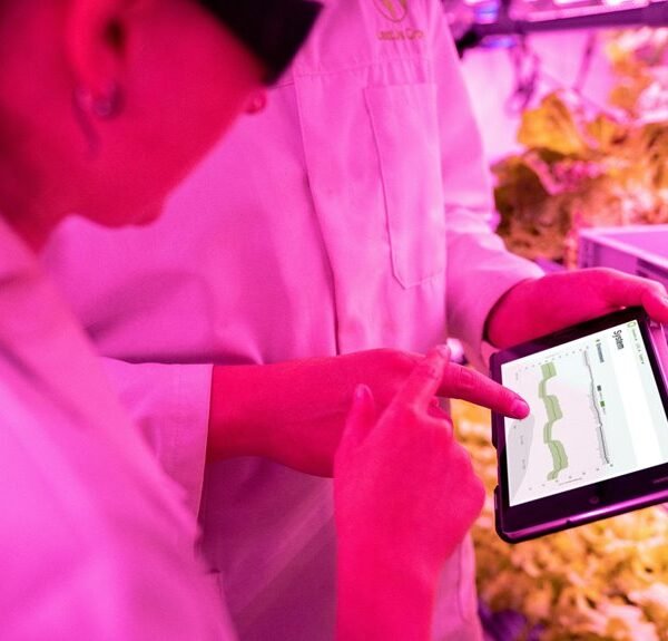 enhance growth with tools