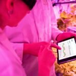 maximize growth with tools